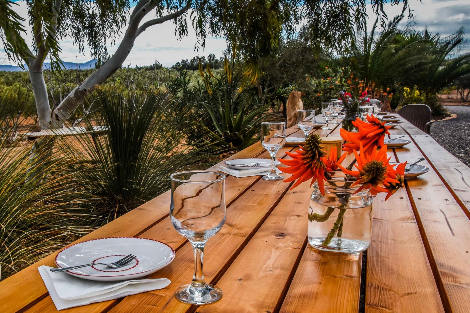 Fuerteventura: Tapas y Vida Local Tour Guiado