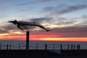 Fuerteventura: cata de vino y escapada por la tarde a El Cotillo