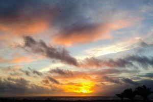 Fuerteventura: cata de vino y escapada por la tarde a El Cotillo