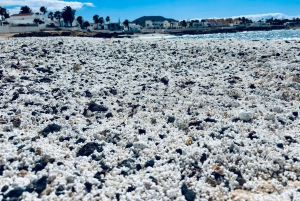 Lobos: grupo de 8 personas con guía (Lobos, Playa del Popcorn y dunas)