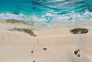 Lobos: grupo de 8 personas con guía (Lobos, Playa del Popcorn y dunas)