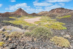 Lobos: grupo de 8 personas con guía (Lobos, Playa del Popcorn y dunas)