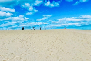 Lobos: grupo de 8 personas con guía (Lobos, Playa del Popcorn y dunas)