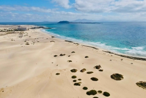 Lobos: grupo de 8 personas con guía (Lobos, Playa del Popcorn y dunas)