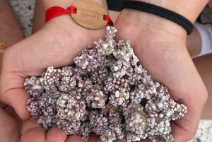 Playa Popcorn, Isla de Lobos y Dunas: ¡Playa Popcorn!