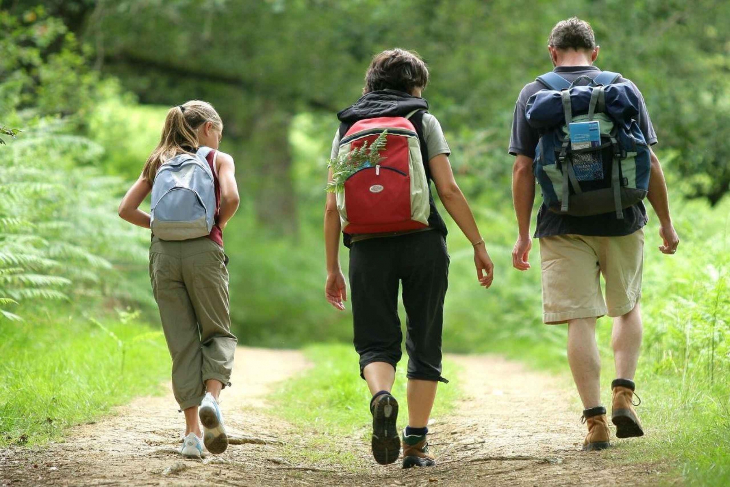 Tour di 15 giorni in Sudafrica - Da Città del Capo a Johannesburg