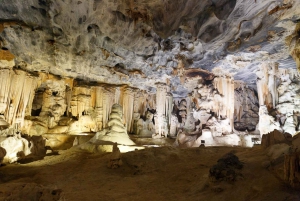 Tour privado de 3 días con todo incluido por la Ruta de los Jardines desde Ciudad del Cabo