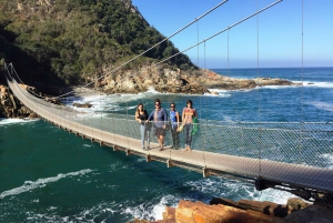 Tour privado de 3 días con todo incluido por la Ruta de los Jardines desde Ciudad del Cabo