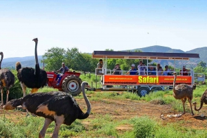 Tour privado de 3 días con todo incluido por la Ruta de los Jardines desde Ciudad del Cabo