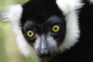 Tour privado de 3 días con todo incluido por la Ruta de los Jardines desde Ciudad del Cabo