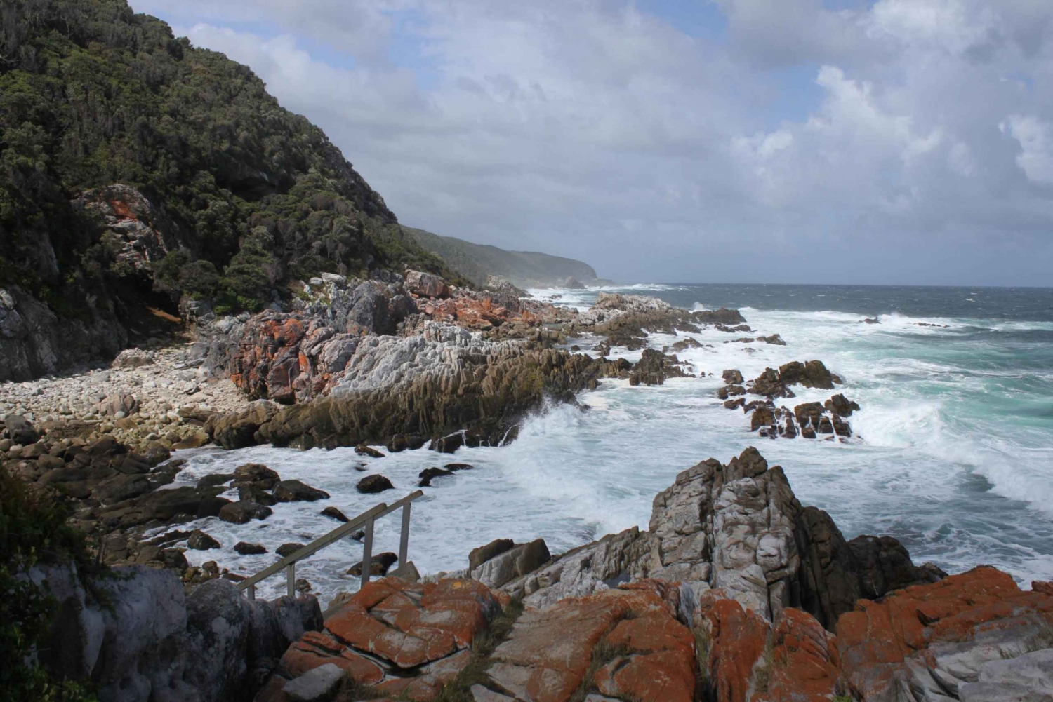 4-dniowe doświadczenie na Garden Route