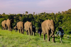 4-tägige Garden Route Erfahrung