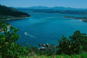 4-tägige Garden Route Erfahrung