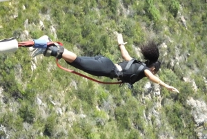 4-tägige Garden Route Erfahrung