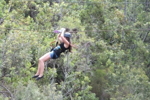 4-tägige Garden Route Erfahrung