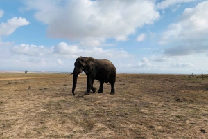 4-tägige Garden Route Erfahrung