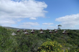 4-tägige Garden Route Erfahrung