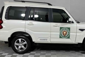 8 Días Ciudad del Cabo y Ruta Jardín en Pvt con Alojamiento