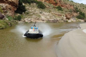 Bon Game Reserve: avventura in hovercraft