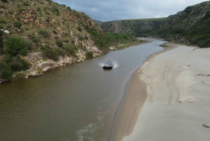 Bon Game Reserve: avventura in hovercraft