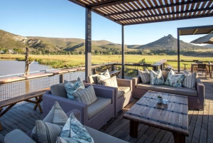 Botlierskop Private Game Reserve: 3-Hour Guided Game Drive