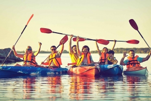 САДОВЫЙ МАРШРУТ НА КАНОЭ В СЕДЖФИЛД НА УСТРИЧНОМ ЭДЖЕ