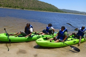 САДОВЫЙ МАРШРУТ НА КАНОЭ В СЕДЖФИЛД НА УСТРИЧНОМ ЭДЖЕ