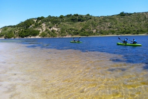 САДОВЫЙ МАРШРУТ НА КАНОЭ В СЕДЖФИЛД НА УСТРИЧНОМ ЭДЖЕ