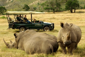 ケープ：サファリ＆ホエール・コースト3日間ツアー（プライベート送迎付き