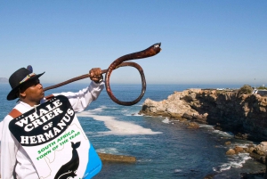 ケープ：サファリ＆ホエール・コースト3日間ツアー（プライベート送迎付き