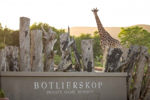 ケープ：サファリ＆ホエール・コースト3日間ツアー（プライベート送迎付き