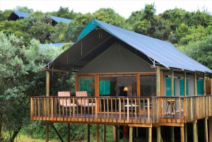 ケープ：サファリ＆ホエール・コースト3日間ツアー（プライベート送迎付き