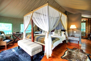 ケープ：サファリ＆ホエール・コースト3日間ツアー（プライベート送迎付き