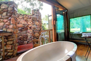 ケープ：サファリ＆ホエール・コースト3日間ツアー（プライベート送迎付き