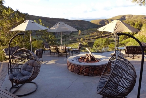 ケープ：サファリ＆ホエール・コースト3日間ツアー（プライベート送迎付き