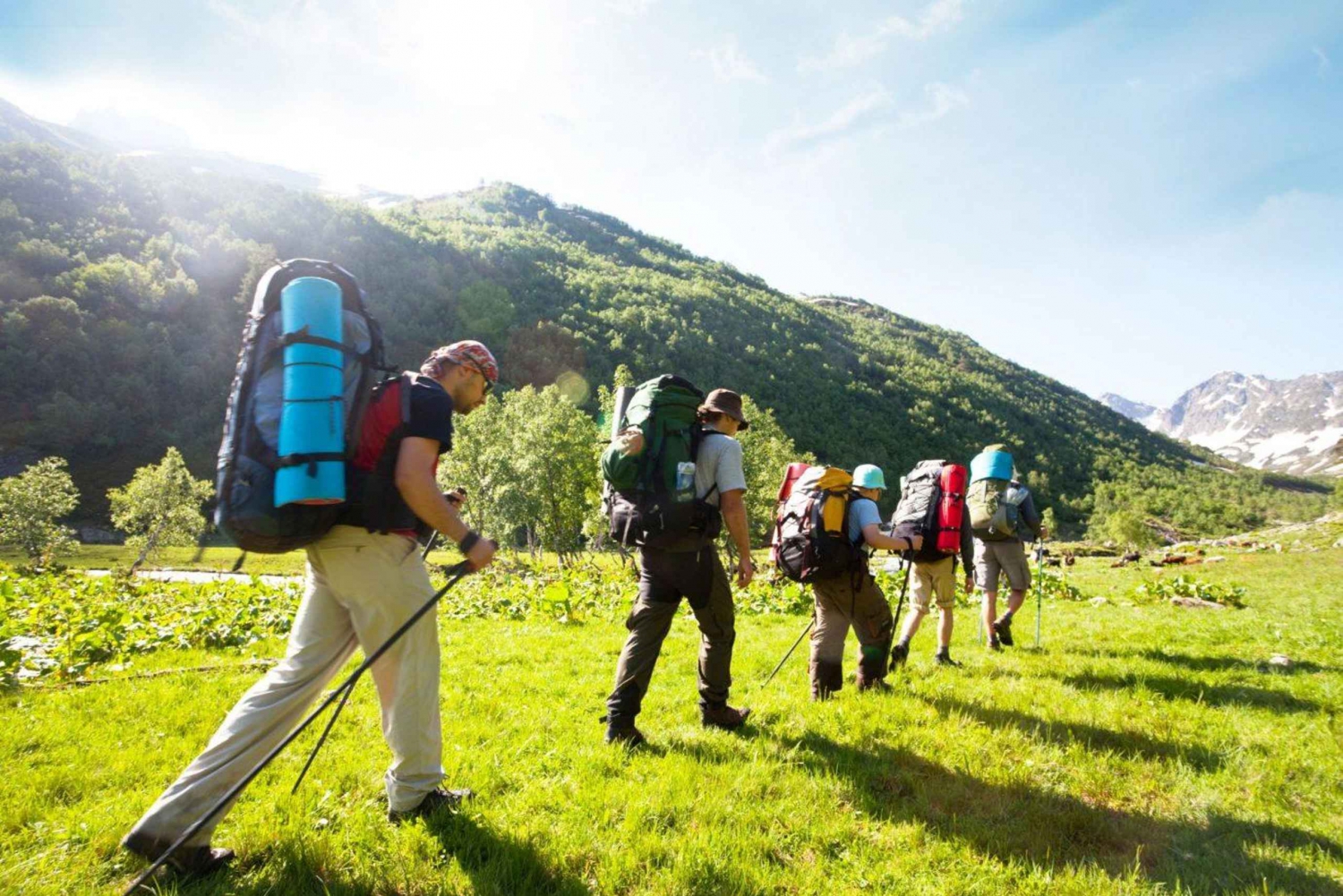 Kaapstad en Tuinroute met Overnachting 8 Daagse Tour