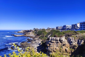 Cape Town: Garden Route and Addo Elephant Park 6-Day Safari