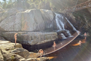 Cape Town: Garden Route and Addo Elephant Park 6-Day Safari