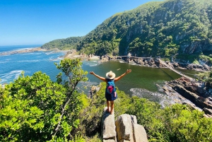 Cape Town: Garden Route and Addo Elephant Park 6-Day Safari