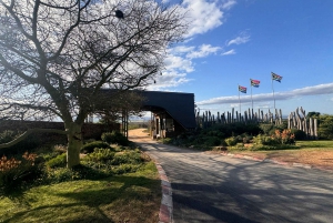 Safari de 2 dias na Cidade do Cabo com os Big 5, pinguins e Cabo Agulhas