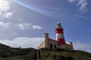 Safari de 2 dias na Cidade do Cabo com os Big 5, pinguins e Cabo Agulhas