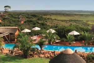 From Cape Town: 2-Day Safari at Garden Route Game Lodge