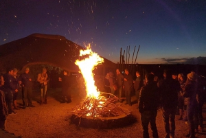 From Cape Town: 2-Day Safari at Garden Route Game Lodge