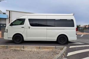 From Cape Town: 2-Day Safari at Garden Route Game Lodge