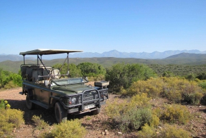 From Cape Town: 3-Day Garden Route Highlights Safari