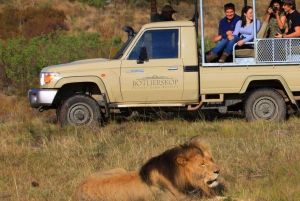 From Cape Town: 3-Day Garden Route Highlights Safari