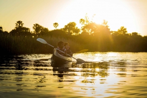 From Cape Town: 5-Day Best of Garden Route & Addo Safari