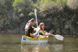 From Cape Town: 5-Day Best of Garden Route & Addo Safari