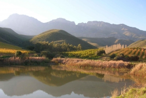 From Cape Town: 5-Day Best of Garden Route & Addo Safari