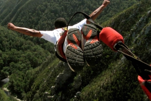 From Cape Town: 5-Day Best of Garden Route & Addo Safari